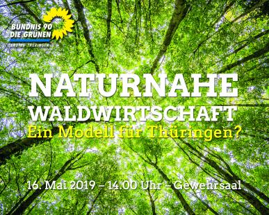 Naturnahe Waldwirtschaft