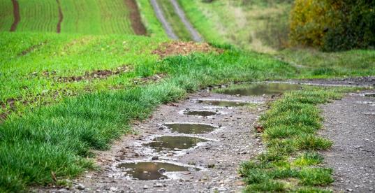 Feldweg Pfütze