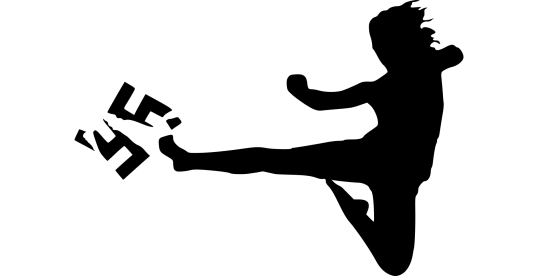 Alternativer Text