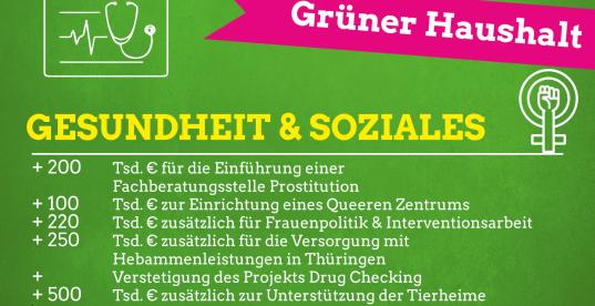 Haushalt Gesundheit und Soziales