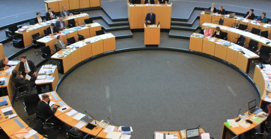 Dirk im Plenum