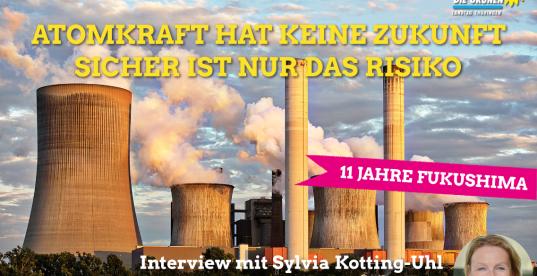 Interview: Sylvia Kotting-Uhl