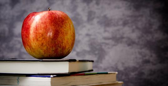 Ein Apfel liegt auf Schulbüchern Ein Apfel liegt auf Schulbüchern