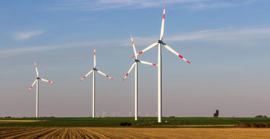 Windräder auf einem Feld