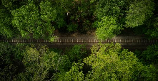 Wald Bahn Lückenschluss Höllentalbahn