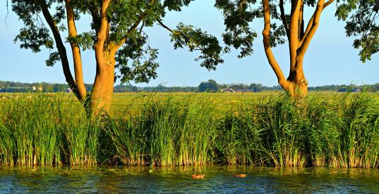 Wasser Ufer