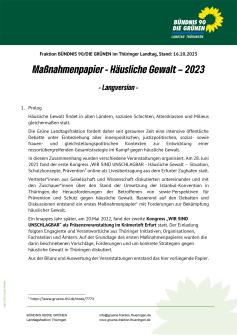 Maßnahmenpapier "Häusliche Gewalt" Maßnahmenpapier "Häusliche Gewalt"